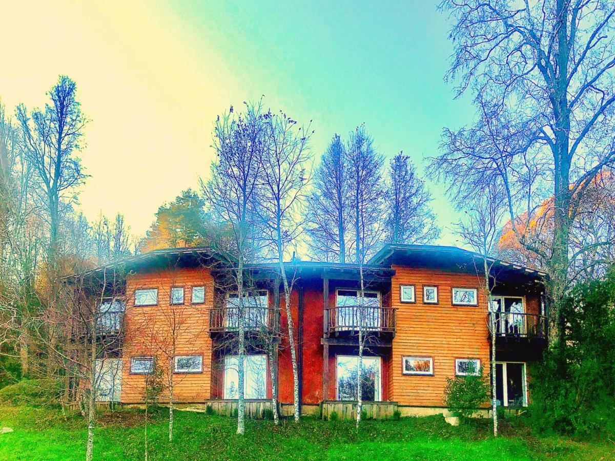 Elementos Eco Lodge Pucón Eksteriør bilde